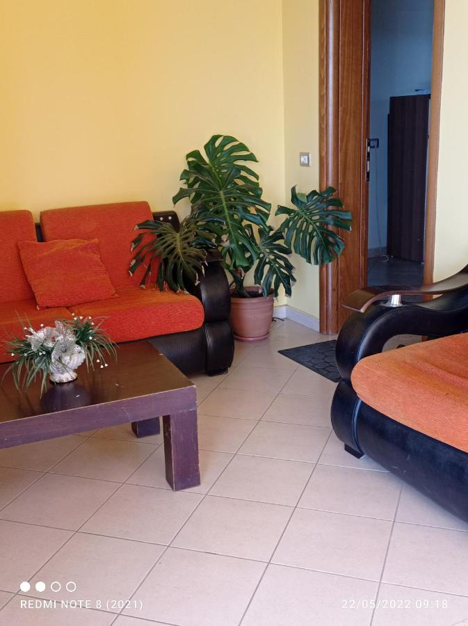 Guesthouse Fatos Biti ディヴィアーケ エクステリア 写真